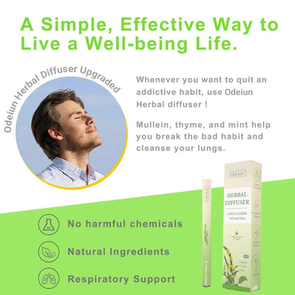 Pack of 4 Herbal Diffuser